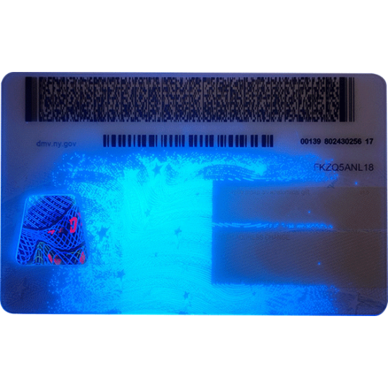 New York CDL New York CDL